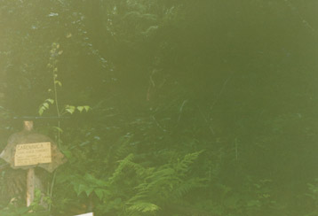 eika image